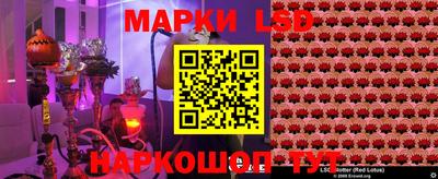 дмт Краснодар