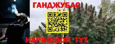 дмт Краснодар