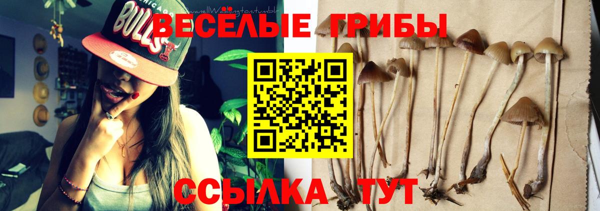 Ишимбай  Псилоцибиновые грибы MAGIC MUSHROOMS  Вход с VPN 